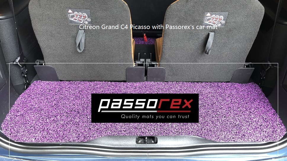 C4 Grand Piccaso